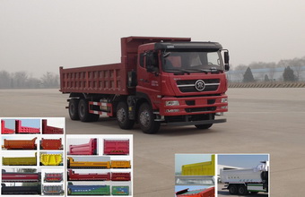 ZZ3313N3661D1N自卸汽车燃油公告图片2