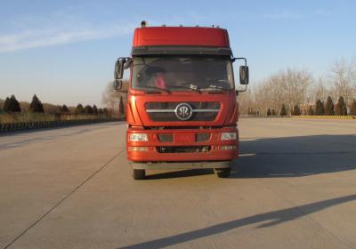 ZZ3313N4861D1N自卸汽车燃油公告图片1