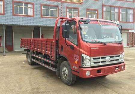 BJ1073VCJFG-L1载货汽车燃油公告图片2