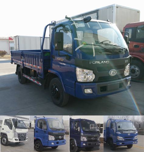 BJ2045Y7JEA-3越野载货汽车燃油公告图片2