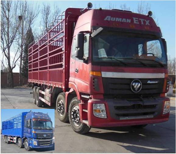 BJ5313CCY-XG仓栅式运输车燃油公告图片2