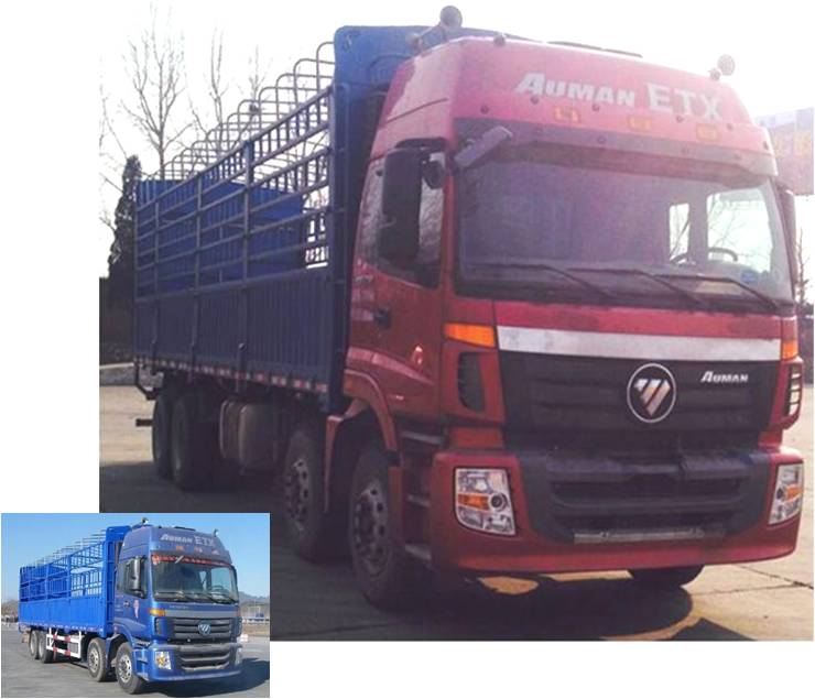 BJ5313CCY-XG仓栅式运输车燃油公告图片2