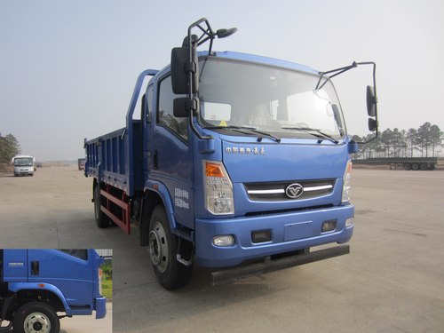 ZZ3168F17DB3自卸汽车燃油公告图片2