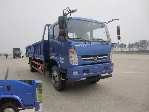 ZZ3168E17DB2自卸汽车燃油公告图片2