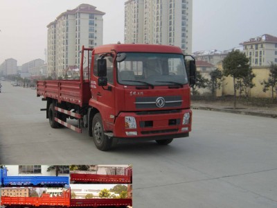 DFL1160BX5载货汽车燃油公告图片2
