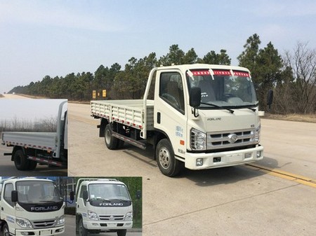 BJ1073VEJEA-A载货汽车燃油公告图片2