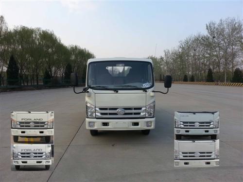 BJ1043V8PEA-L1载货汽车燃油公告图片1