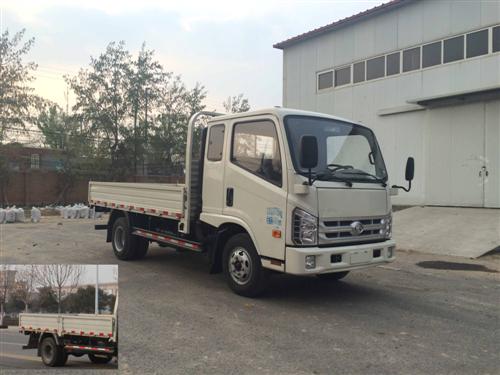 BJ1043V8PEA-L1载货汽车燃油公告图片2