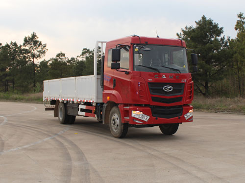 HN1160H16E6M4载货汽车燃油公告图片2