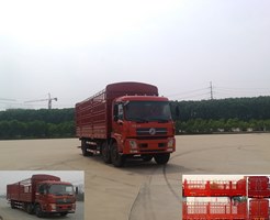 DFH5250CCYBX5A仓栅式运输车燃油公告图片2