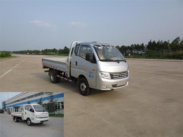 BJ1046V9PB6-A1载货汽车燃油公告图片2
