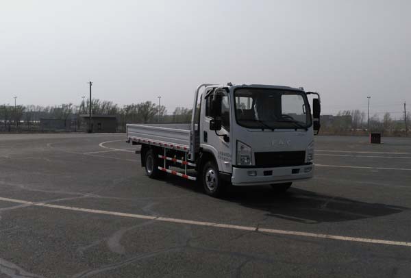 CAL1041DCRE4A载货汽车燃油公告图片2