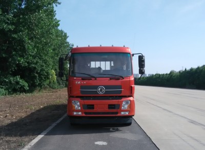 DFH1250BXV载货汽车燃油公告图片1