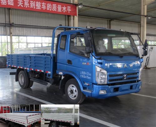 FD1044W63K载货汽车燃油公告图片2