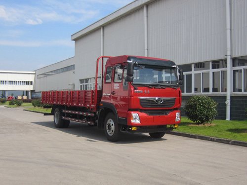 ZZ1168F10DB0载货汽车燃油公告图片2