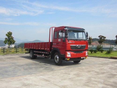 ZZ1168F10DB0载货汽车燃油公告图片2