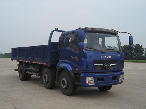 ZB3231DPQ2F自卸汽车燃油公告图片2