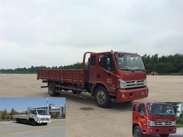 BJ1133VJPFG-L1载货汽车燃油公告图片2