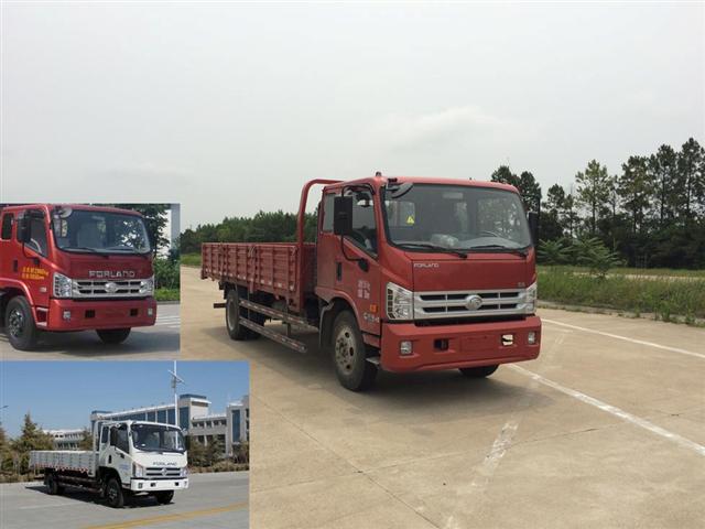 BJ1133VJPFG-L1载货汽车燃油公告图片2