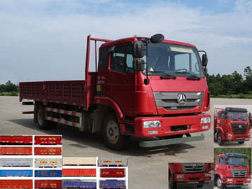 ZZ1165G5113E1H载货汽车燃油公告图片2