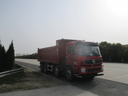 DFZ3310GSZ4D自卸汽车燃油公告图片2