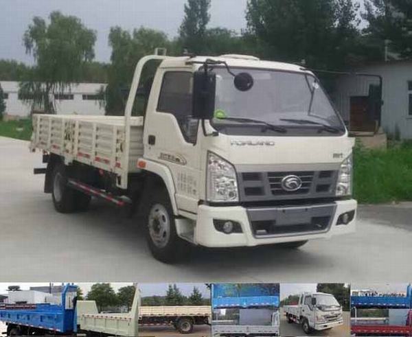 BJ2045Y7JEA-1越野载货汽车燃油公告图片2