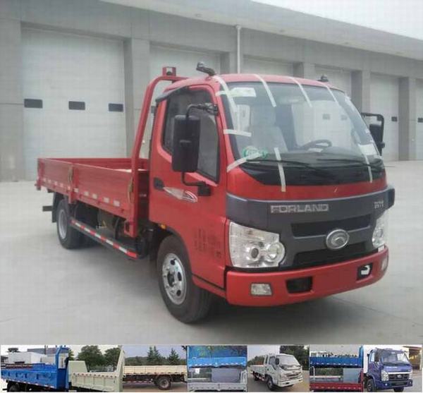 BJ2045Y7JEA-1越野载货汽车燃油公告图片2
