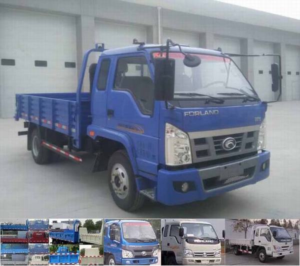 BJ2045Y7PEA-1越野载货汽车燃油公告图片2