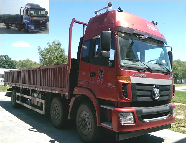 BJ1252VMPGP-XA载货汽车燃油公告图片2