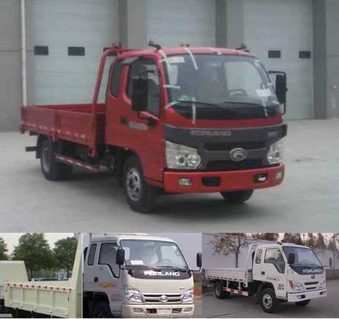 BJ2045Y7PEA-1越野载货汽车燃油公告图片2