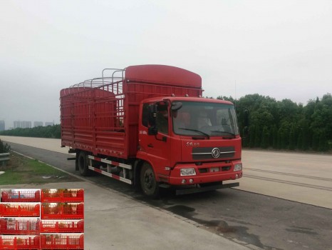 DFH5140CCYBX1V仓栅式运输车燃油公告图片2