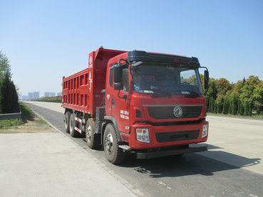 DFZ3310GSZ4D3自卸汽车燃油公告图片2