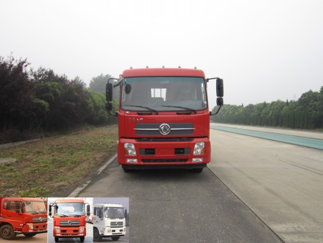 DFH1160BX5A载货汽车燃油公告图片1