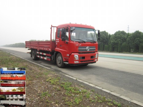 DFH1160BX5A载货汽车燃油公告图片2
