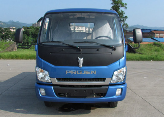 LFJ1045PCG1载货汽车燃油公告图片1