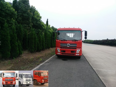 DFH1160BX5A载货汽车燃油公告图片1