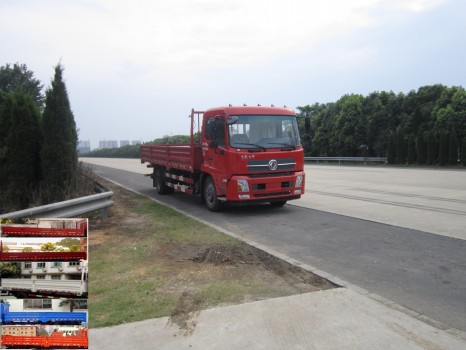 DFH1160BX5A载货汽车燃油公告图片2