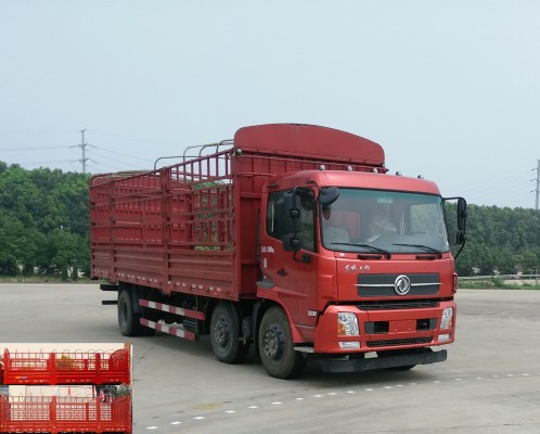 DFH5250CCYBXV仓栅式运输车燃油公告图片2