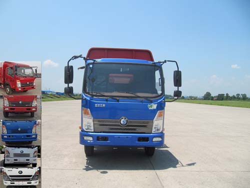 CDW5040CCYHA4Q4仓栅式运输车燃油公告图片1