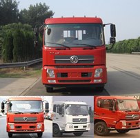 DFH3160BX5自卸汽车燃油公告图片1