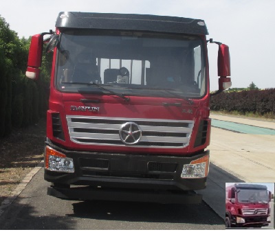 DYQ1160D4TA载货汽车燃油公告图片1