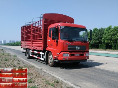 DFH5140CCYBX1V仓栅式运输车燃油公告图片2