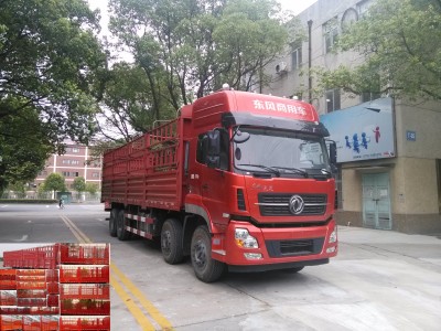 WSH5311CCYAX10A仓栅式运输车燃油公告图片2