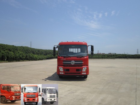 DFH1160BX5A载货汽车燃油公告图片1