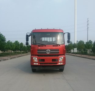DFH1250BX5A载货汽车燃油公告图片1