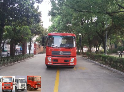 DFH1160BX5A载货汽车燃油公告图片1