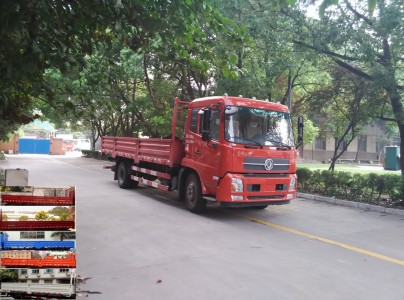 DFH1160BX5A载货汽车燃油公告图片2