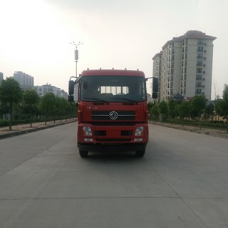 DFH1250BX5A载货汽车燃油公告图片1