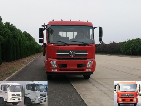 DFL1160BX5载货汽车燃油公告图片1