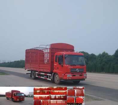 DFH5160CCYBX5A仓栅式运输车燃油公告图片2